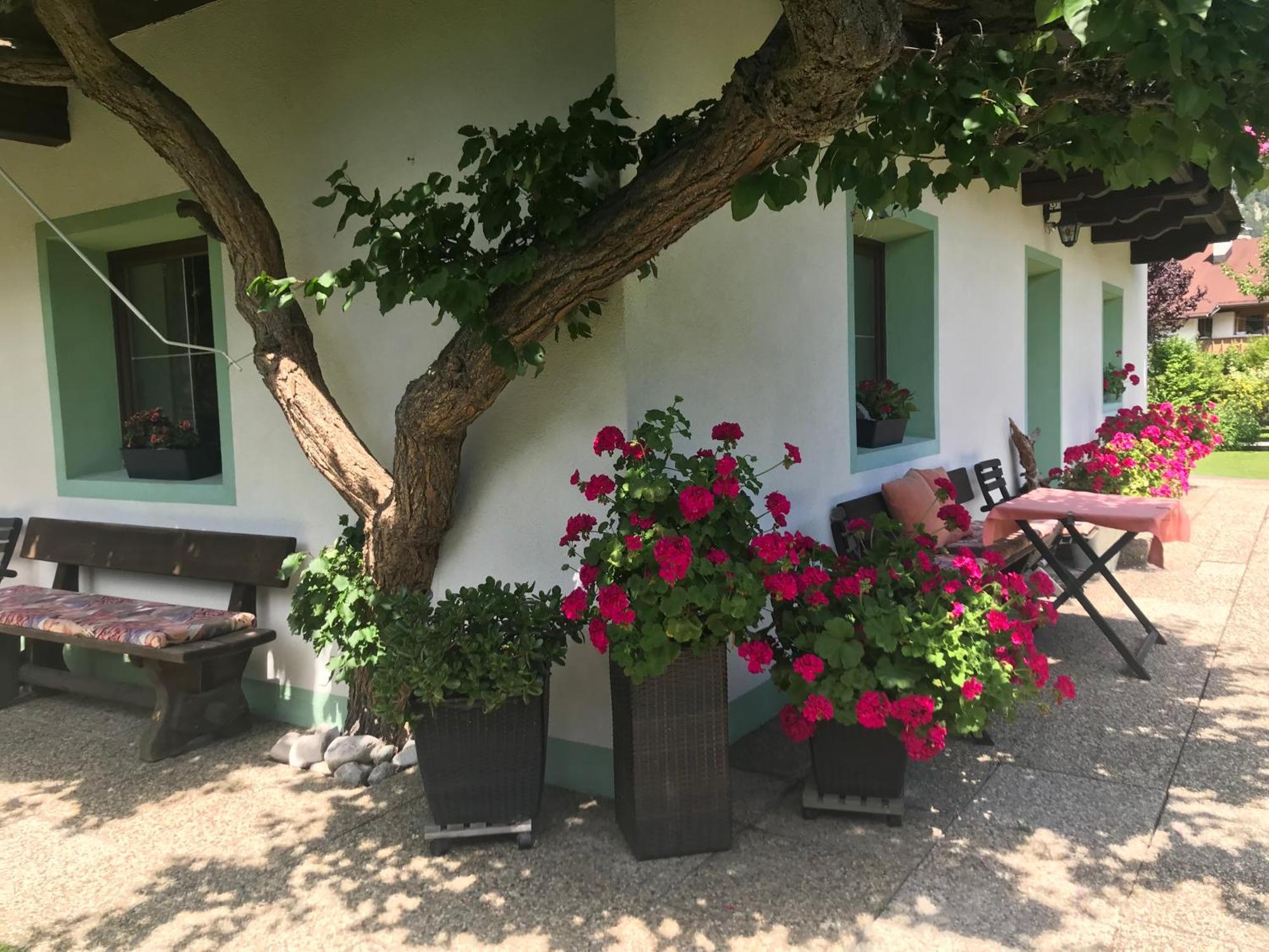 Apartamento Haus Hoher Sattel Leutasch Exterior foto