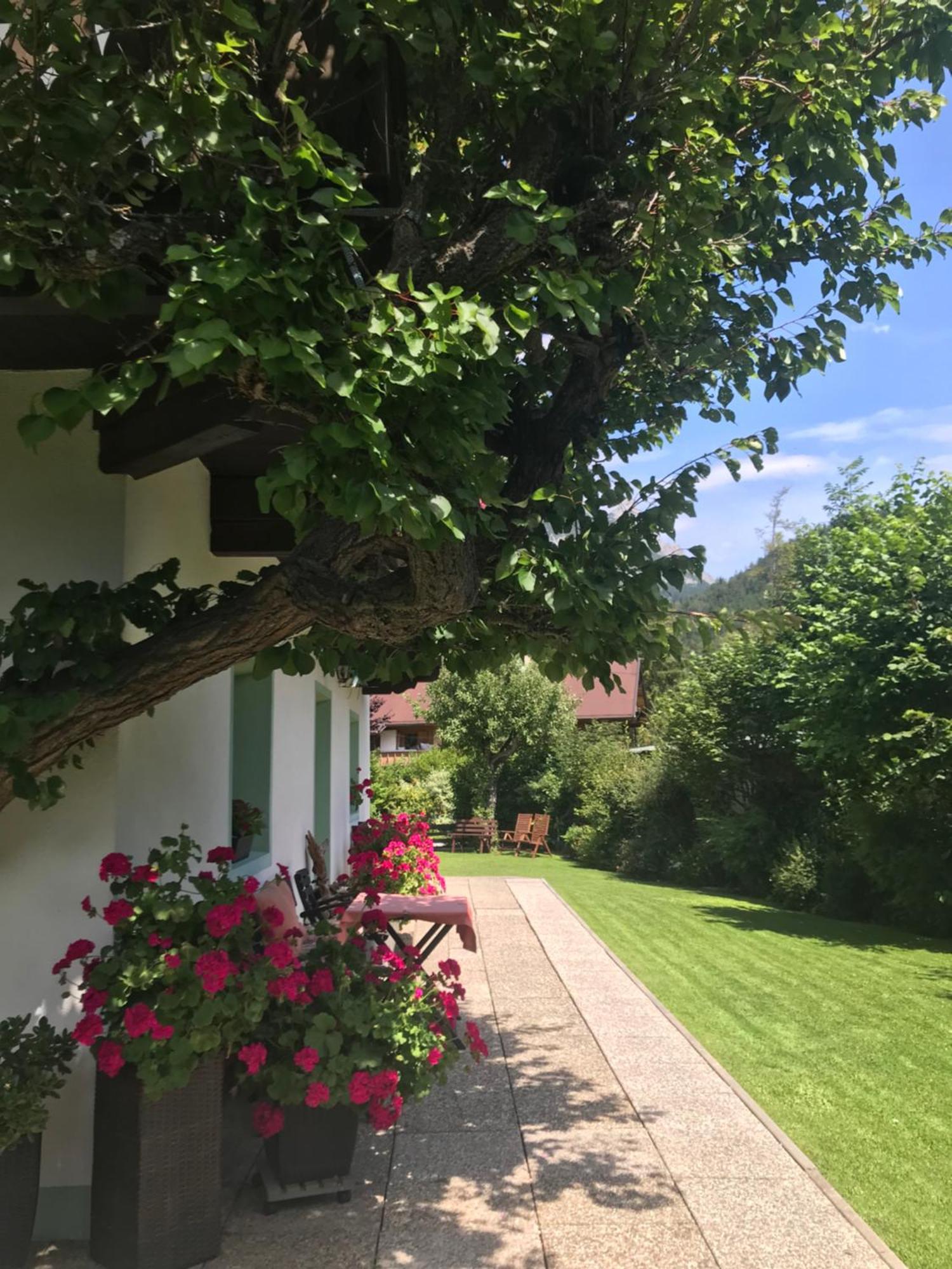 Apartamento Haus Hoher Sattel Leutasch Exterior foto