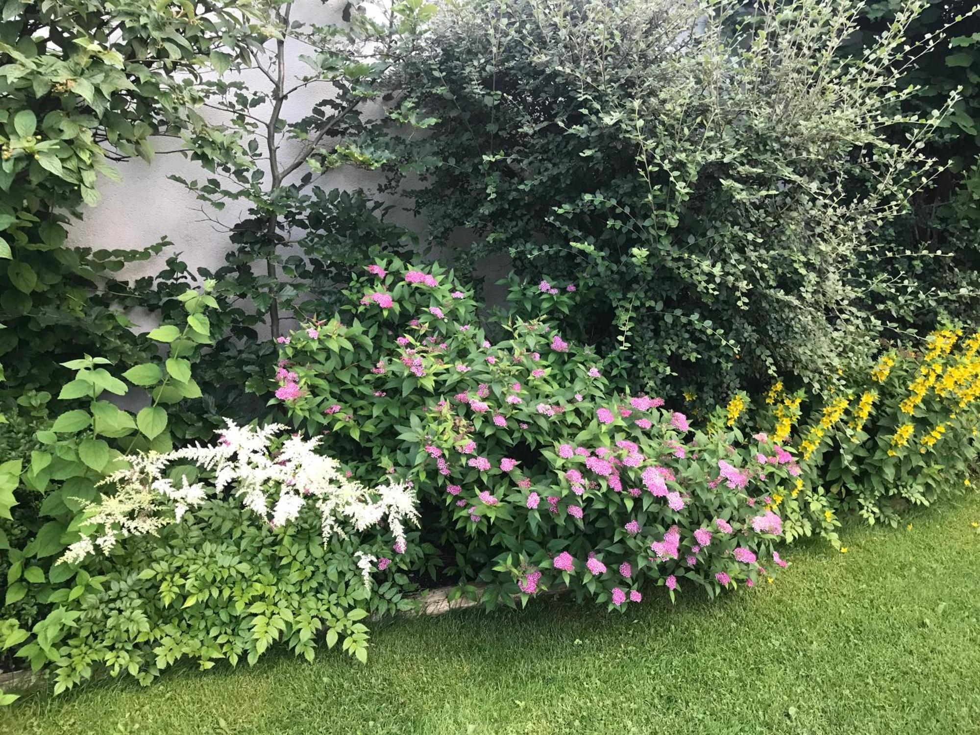 Apartamento Haus Hoher Sattel Leutasch Exterior foto
